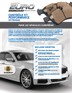 French EURO Flyer