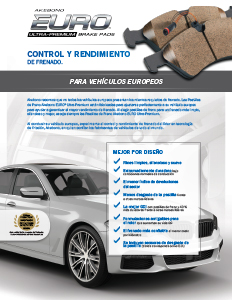 Spanish EURO Flyer