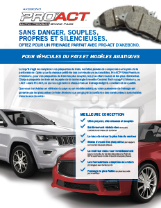 French Pro-ACT Flyer